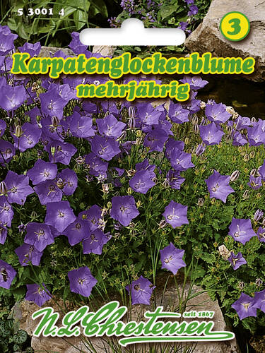 Hauptbild des Artikels "Karpatenglockenblume" aus der Kategorie "Samen"