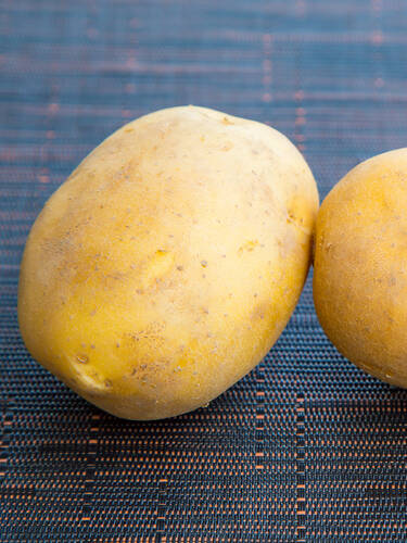 Hauptbild des Artikels "Kartoffel Frieslander"