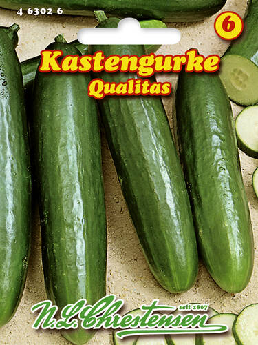 Gurkensamen - Kastengurke Qualitas