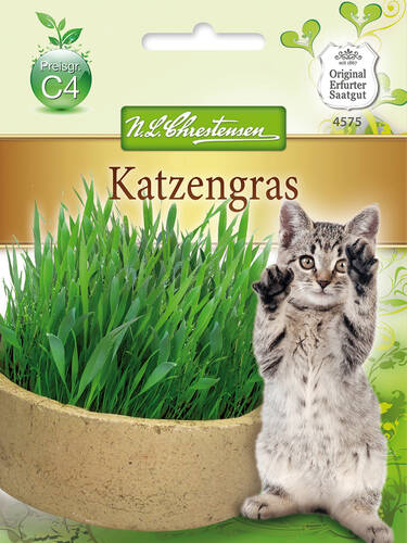Hauptbild des Artikels "Katzengras" aus der Kategorie "Samen"