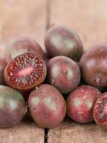 Hauptbild des Artikels "Kiwi Kens Red"