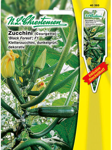 Samen - Kletter-Zucchini Black Forest F1