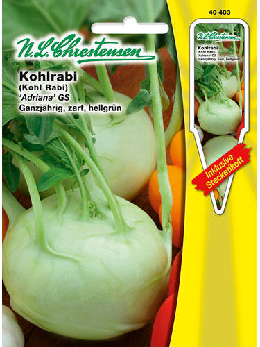 Hauptbild des Artikels "Kohlrabi Adriana" aus der Kategorie "Kohlsamen"
