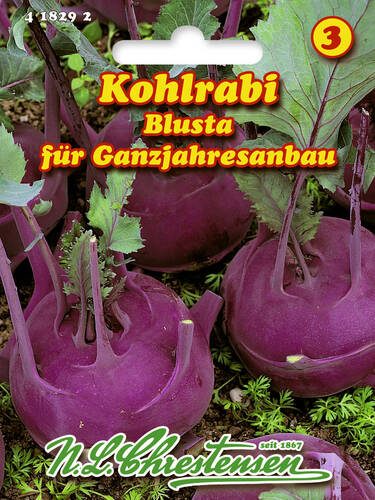 Hauptbild des Artikels "Kohlrabi Blusta" aus der Kategorie "Samen"