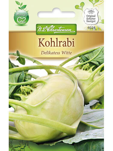 Kohlrabi Delikatess Witte