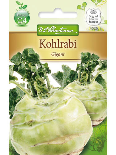 Kohlrabi Gigant