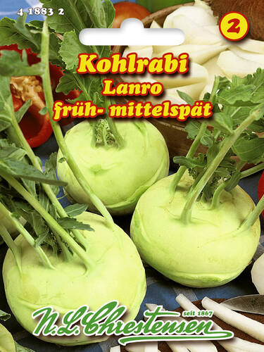 Samen - Kohlrabi Lanro