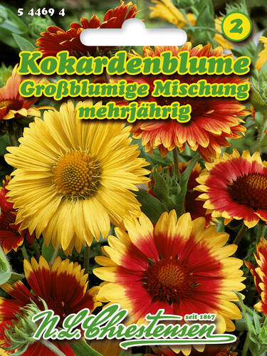 Kokardenblume Groblumige Mischung