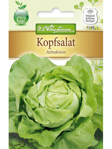 Hauptbild des Artikels "Kopfsalat Attraktion" aus der Kategorie "Salatsamen"