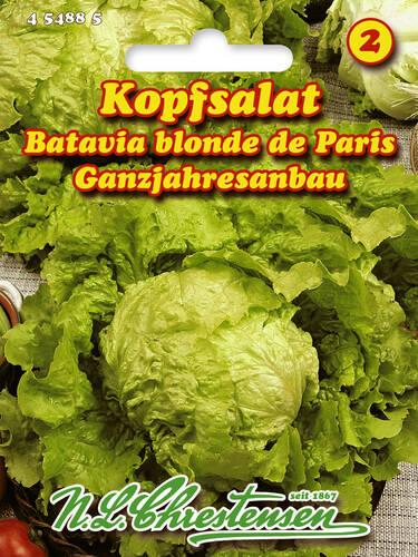 Hauptbild des Artikels "Kopfsalat Batavia blonde de Paris"