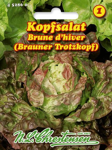 Hauptbild des Artikels "Kopfsalat Brune d'hiver" aus der Kategorie "Salatsamen"