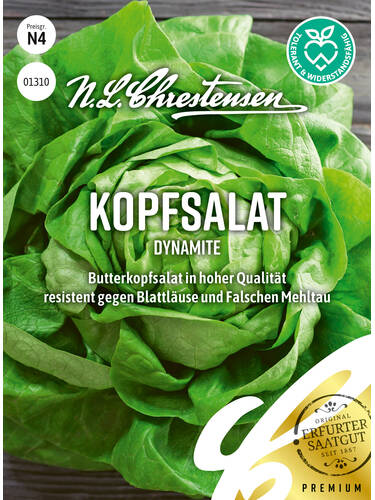 Hauptbild des Artikels "Kopfsalat Dynamite" aus der Kategorie "Salatsamen"