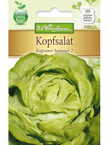 Kopfsalat Kagraner Sommer 2