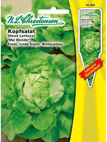 Hauptbild des Artikels "Kopfsalat Mai Wunder" aus der Kategorie "Salatsamen"