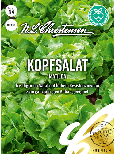 Samen - Kopfsalat Matilda