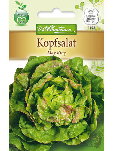 Kopfsalat May King (Maiknig)