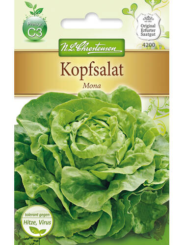 Samen - Kopfsalat Mona