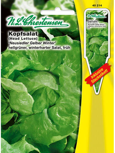 Hauptbild des Artikels "Kopfsalat Neusiedler Gelber Winter" aus der Kategorie "Salatsamen"