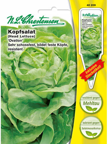 Hauptbild des Artikels "Kopfsalat Ovation" aus der Kategorie "Salatsamen"
