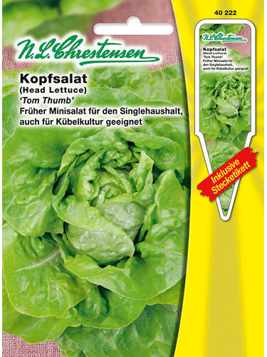 Hauptbild des Artikels "Kopfsalat Tom Thumb" aus der Kategorie "Salatsamen"