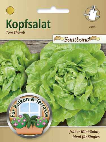 Hauptbild des Artikels "Kopfsalat Tom Thumb" aus der Kategorie "Samen"