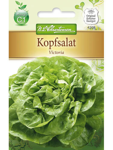 Hauptbild des Artikels "Kopfsalat Victoria" aus der Kategorie "Salatsamen"