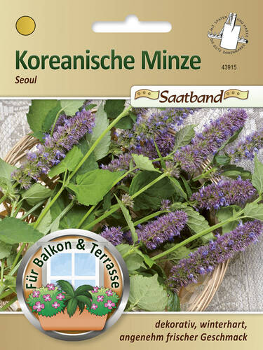 Hauptbild des Artikels "Koreanische Minze" aus der Kategorie "Samen"