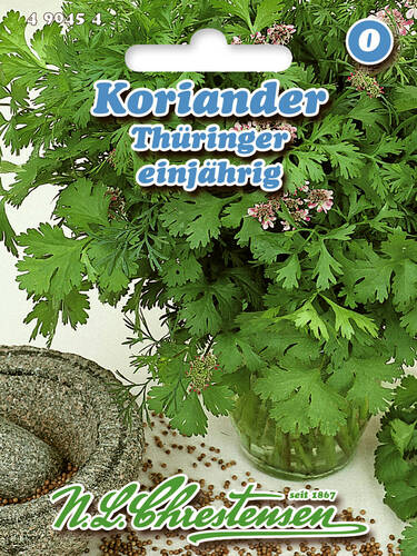 Koriander Thringer