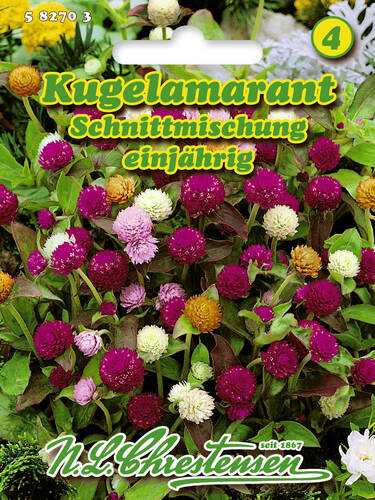 Hauptbild des Artikels "Kugelamarant Schnittmischung"