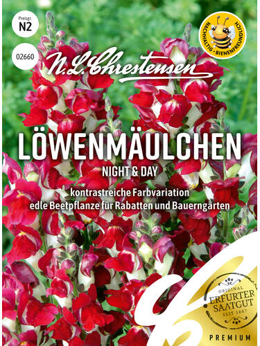 Lwenmulchen Night & Day