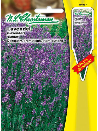 Hauptbild des Artikels "Lavendel Echter" aus der Kategorie "Samen"