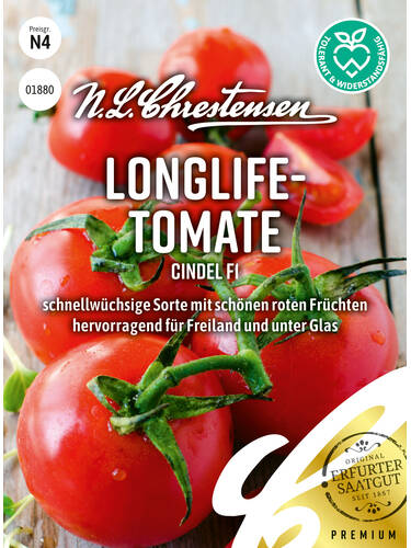 Tomatensamen - Longlife-Tomate Cindel, F1