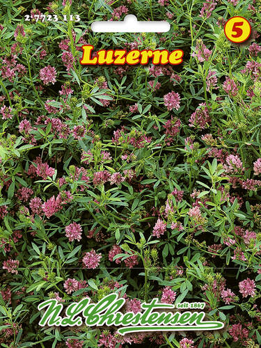 Hauptbild des Artikels "Luzerne" aus der Kategorie "Samen"