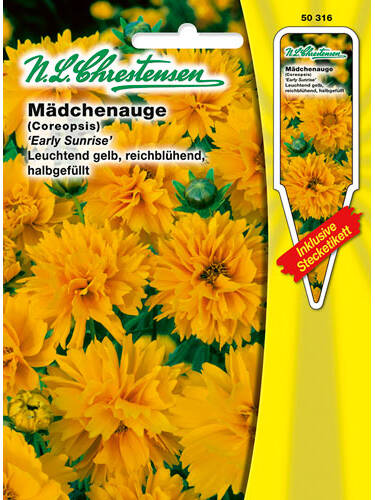 Hauptbild des Artikels "Mdchenauge Early Sunrise" aus der Kategorie "Samen"