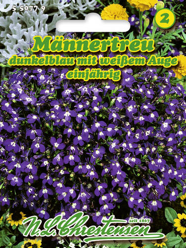 Hauptbild des Artikels "Mnnertreu Dunkelblau mit weiem Auge" aus der Kategorie "Samen"