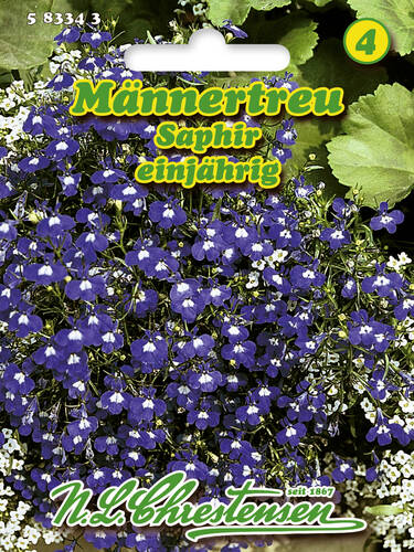 Hauptbild des Artikels "Mnnertreu Saphir" aus der Kategorie "Samen"