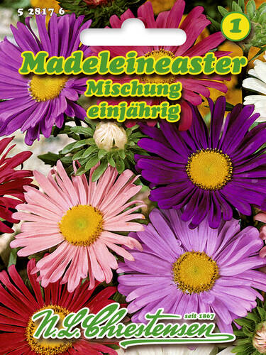 Hauptbild des Artikels "Madeleineaster-Mischung" aus der Kategorie "Samen"
