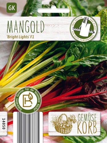 Hauptbild des Artikels "Mangold Bright Lights F1" (Bildbeschreibung ist in Arbeit)