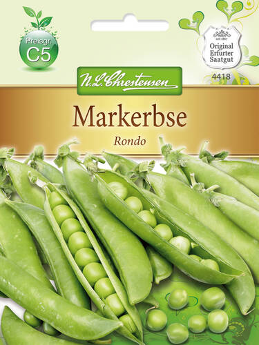 Hauptbild des Artikels "Markerbse Rondo" (Bildbeschreibung ist in Arbeit)