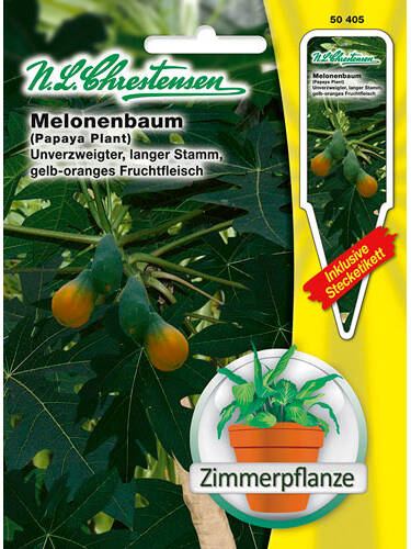 Melonenbaum