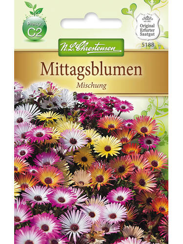 Hauptbild des Artikels "Mittagsblumen Mischung" aus der Kategorie "Samen"