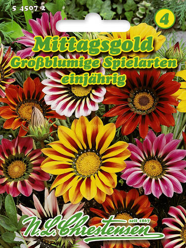 Samen - Mittagsgold Groblumige Spielarten