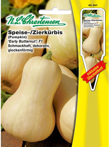 Hauptbild des Artikels "Moschuskrbis Early Butternut F1" aus der Kategorie "Krbissamen"