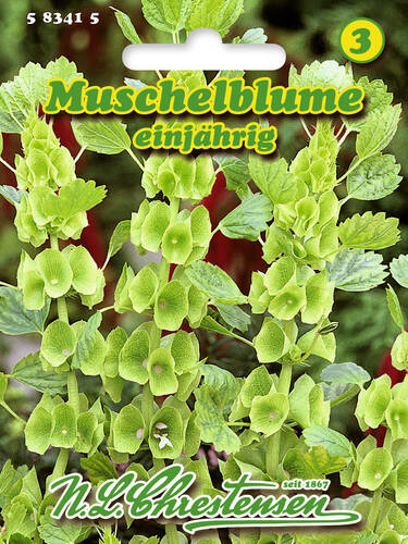 Hauptbild des Artikels "Muschelblume" aus der Kategorie "Samen"