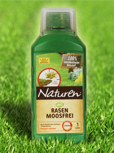 Hauptbild des Artikels "Naturen Bio Rasen Moosfrei"