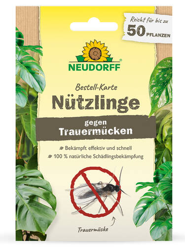 Hauptbild des Artikels "Neudorff Bestellkarte Ntzlinge gegen Spinnmilben" (Bildbeschreibung ist in Arbeit)