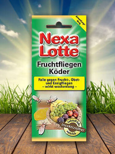 Hauptbild des Artikels "Nexa Lotte Fruchtfliegenkder"