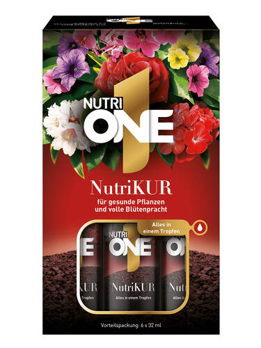 Hauptbild des Artikels "NutriOne-NutriKUR" (Bildbeschreibung ist in Arbeit)