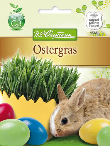 Ostergras