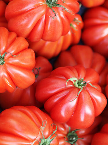 Gemsepflanzen - Tomate Ochsenherz Bild 2